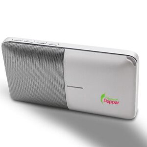 immagine rappresentativa della categoria di prodotti "Speaker wireless"